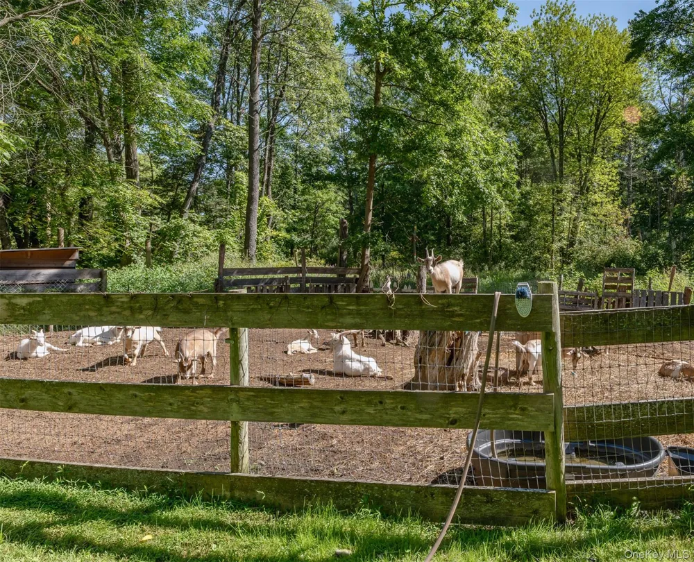 28 Buck Lane Saugerties, NY 12477