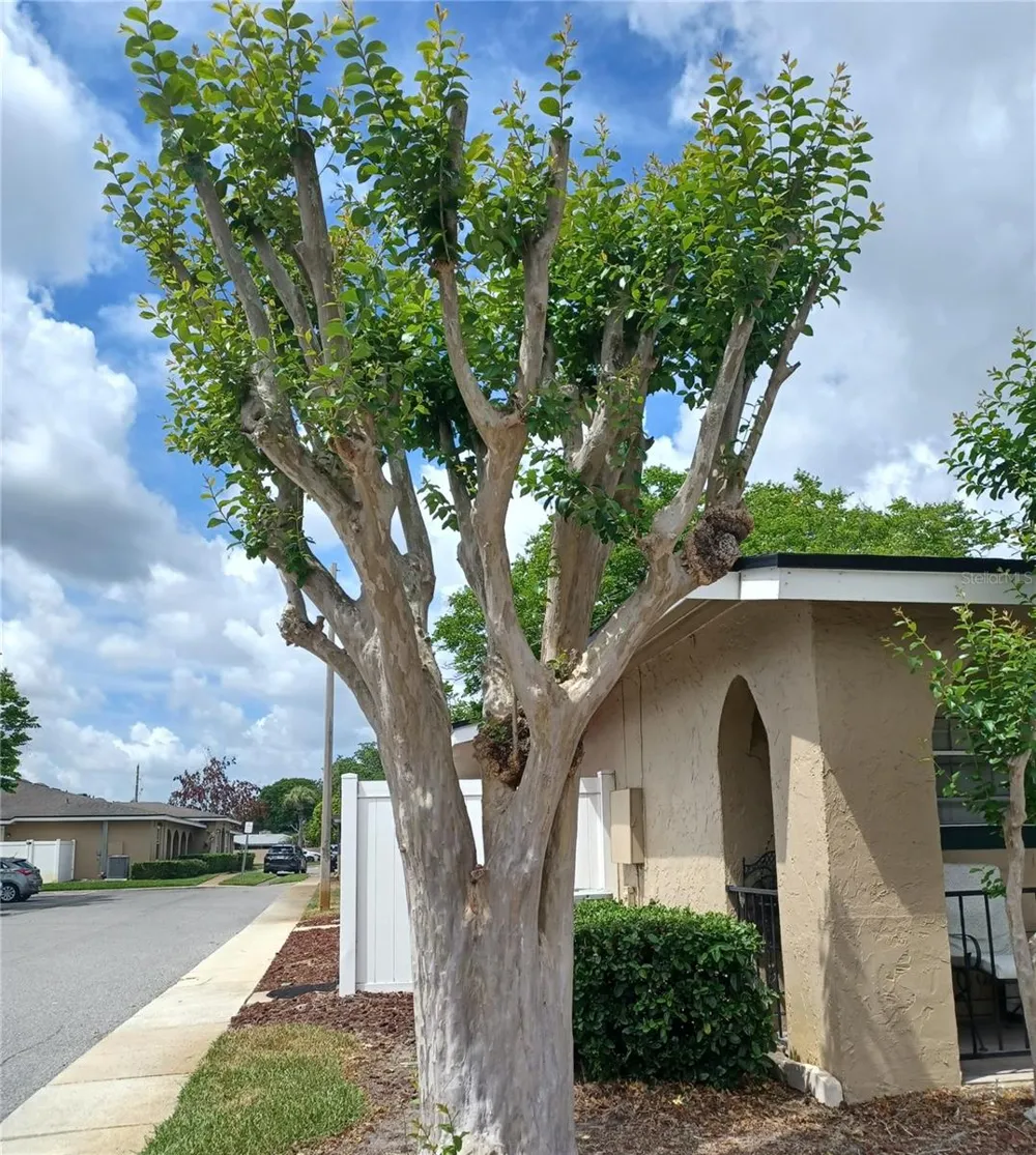 530 CASCADE CIRCLE #100 Casselberry, FL 32707