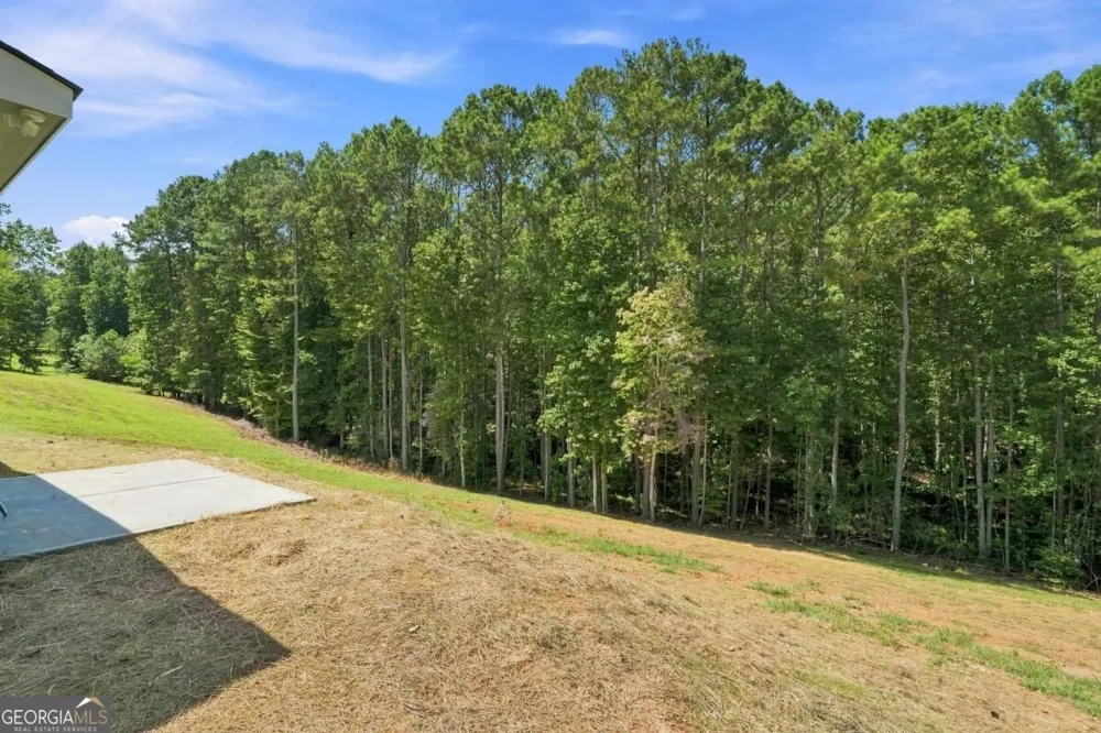 381 Bethel RD Talking Rock, GA 30175