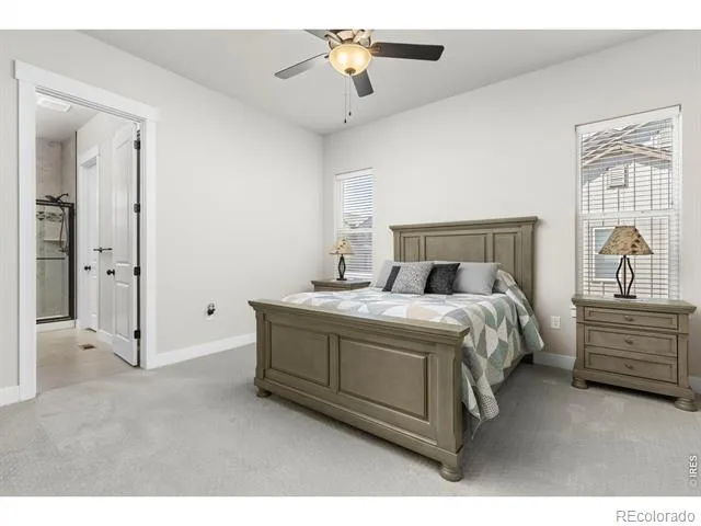 6241 Vernazza Way #1 Windsor, CO 80550