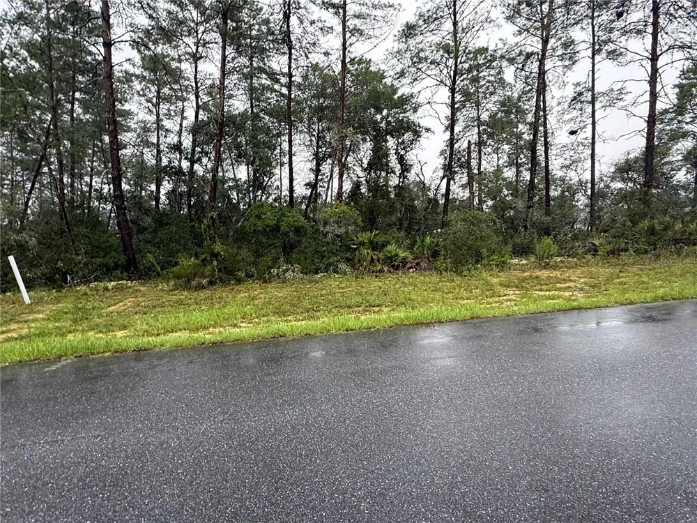 0 SW 176TH LOOP ocala, FL 34473