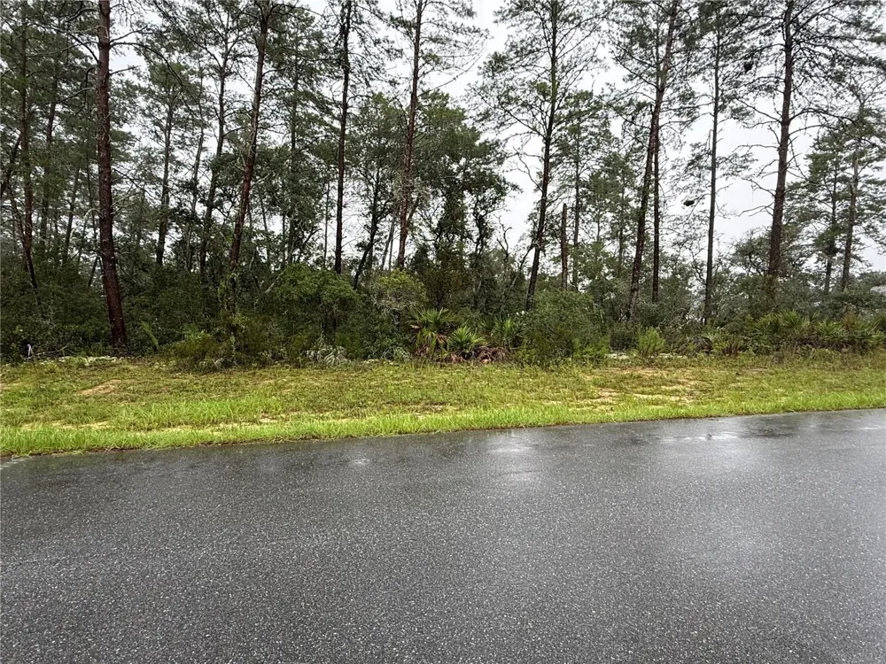 0 SW 176TH LOOP ocala, FL 34473