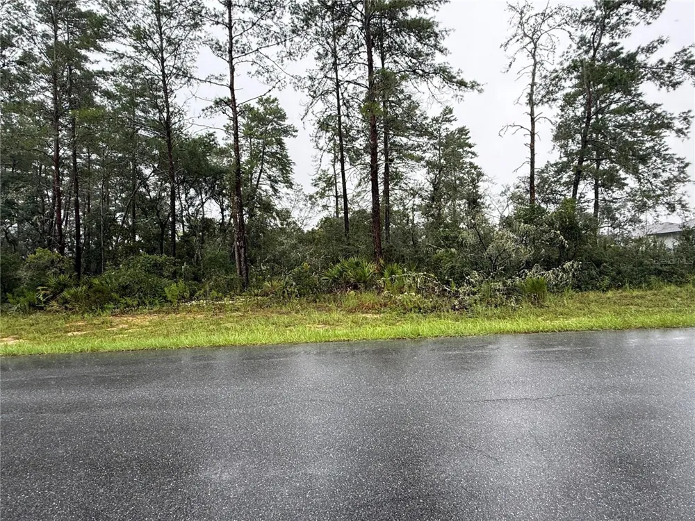 0 SW 176TH LOOP ocala, FL 34473