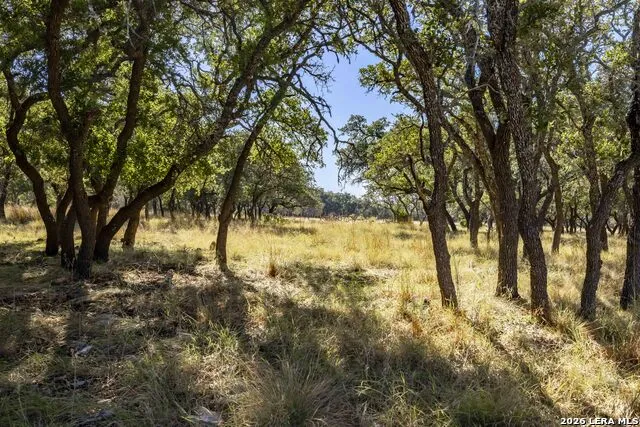 TBD Legacy Oaks Dr. Harper, TX 78631