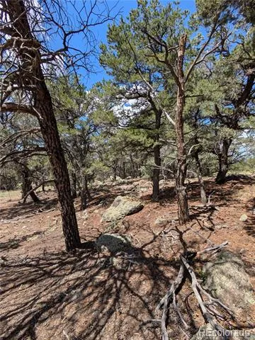 1240 Brookview Way Crestone, CO 81131