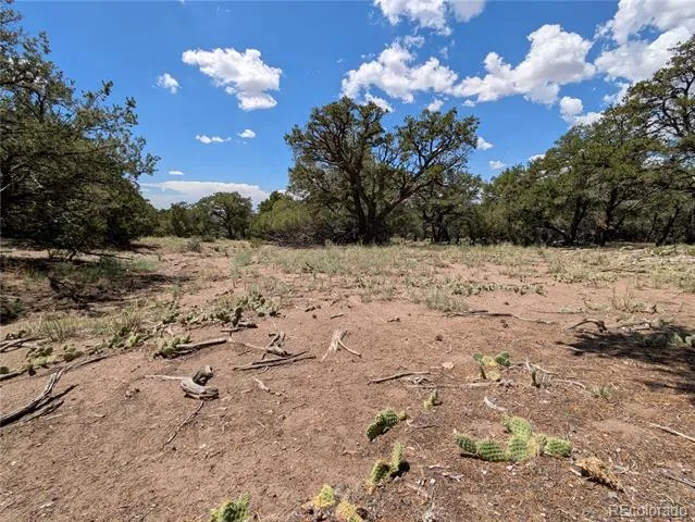 1240 Brookview Way Crestone, CO 81131