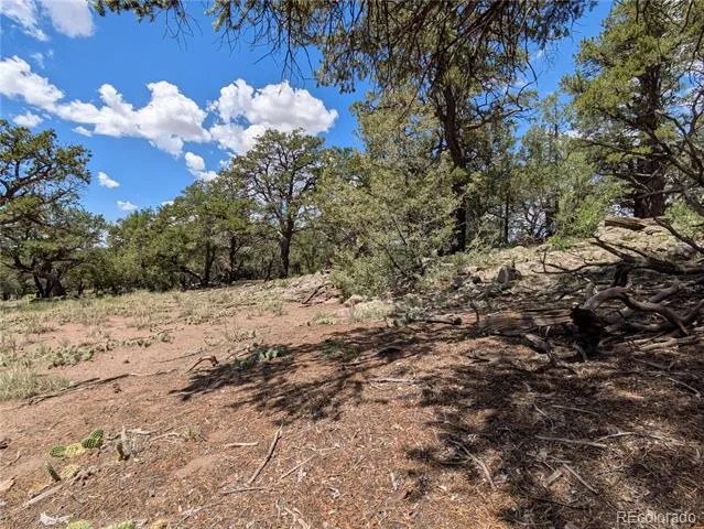 1240 Brookview Way Crestone, CO 81131