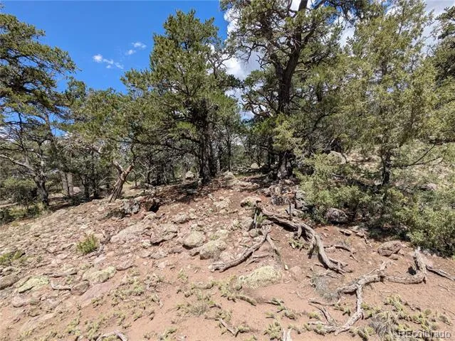 1240 Brookview Way Crestone, CO 81131