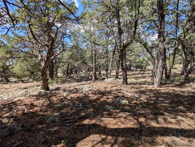 1240 Brookview Way Crestone, CO 81131