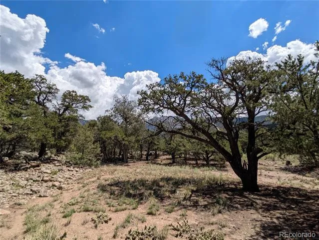 1240 Brookview Way Crestone, CO 81131