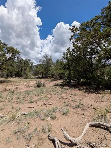1240 Brookview Way Crestone, CO 81131