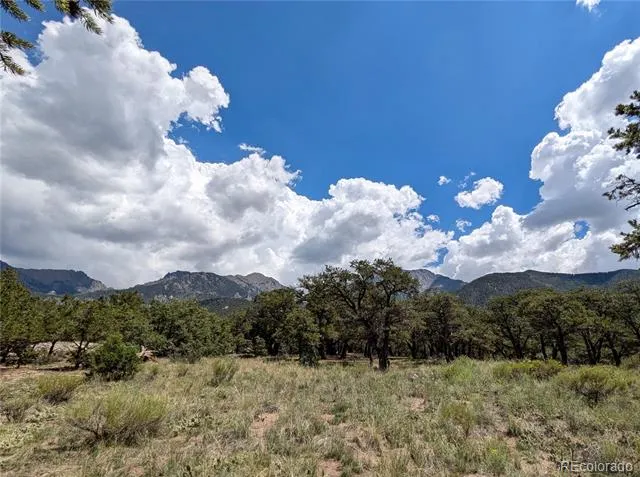 1240 Brookview Way Crestone, CO 81131
