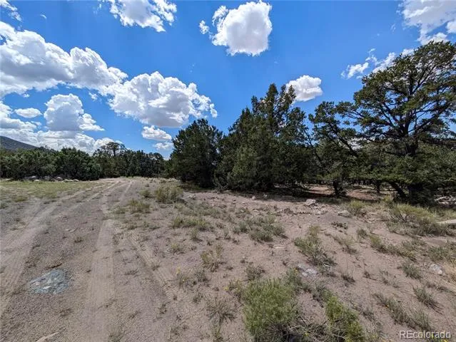 1240 Brookview Way Crestone, CO 81131