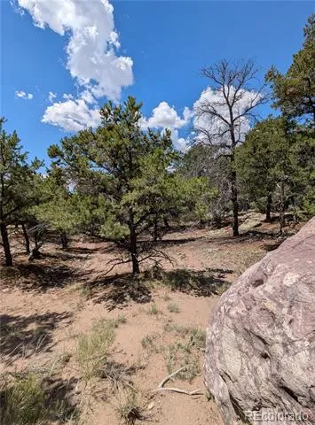 1240 Brookview Way Crestone, CO 81131