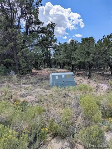 1240 Brookview Way Crestone, CO 81131