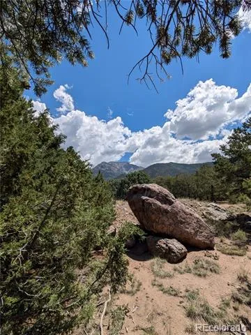 1240 Brookview Way Crestone, CO 81131