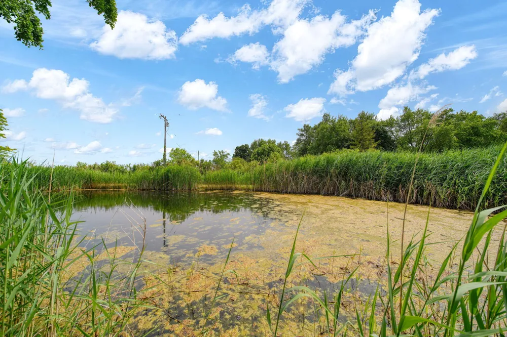 5550 E Carleton Road Palmyra, MI 49268