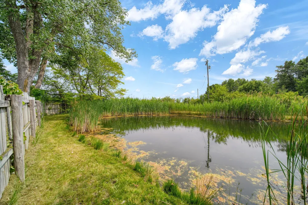 5550 E Carleton Road Palmyra, MI 49268