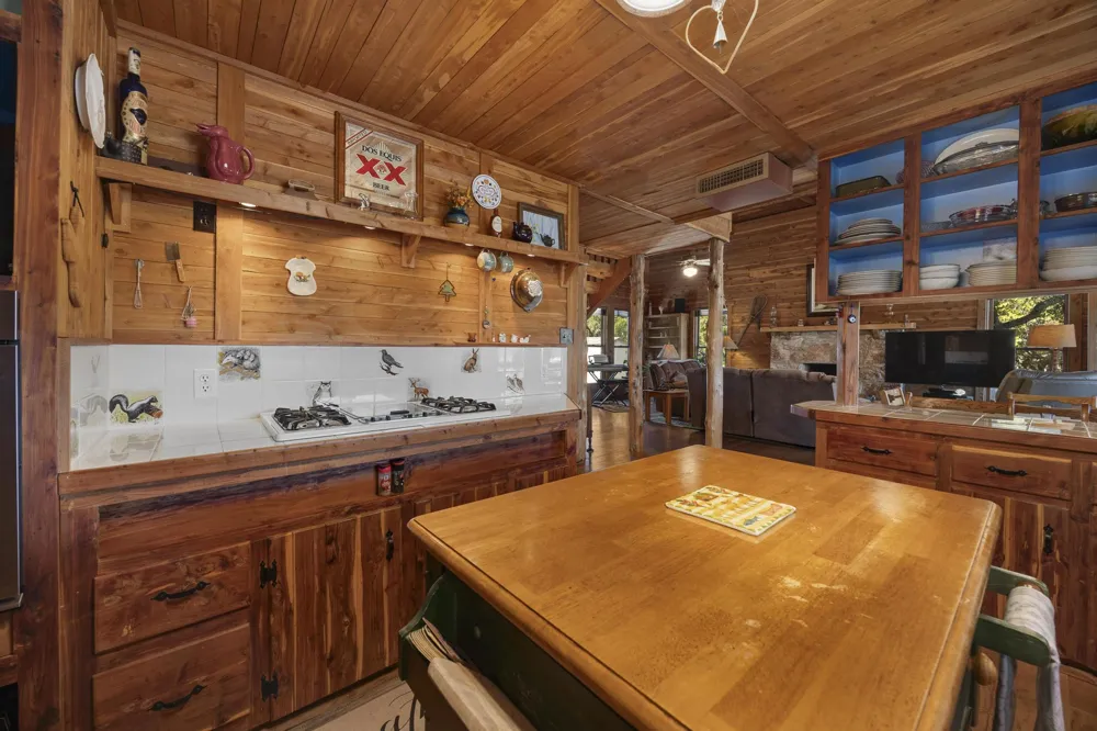 707 Cat Hollow Club Drive Spicewood, TX 78669