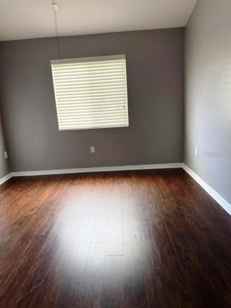 8542 BRUSHLEAF WAY Tampa, FL 33647
