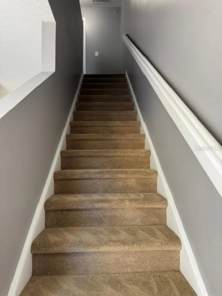 8542 BRUSHLEAF WAY Tampa, FL 33647