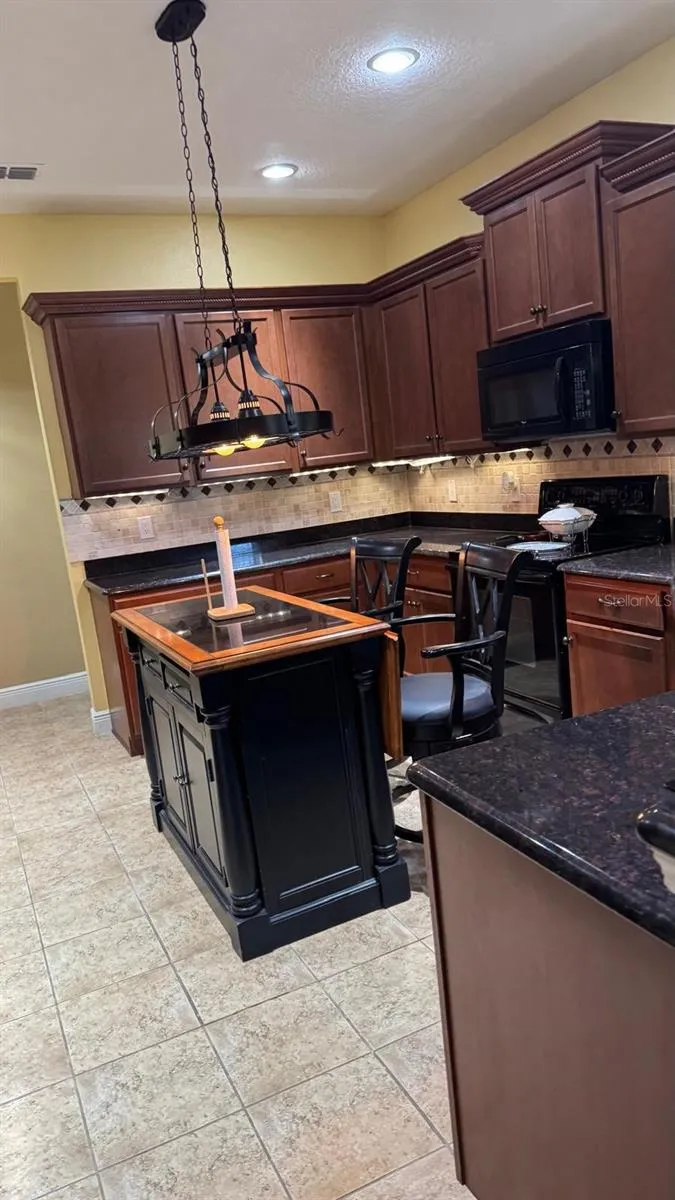5406 SANDY SHELL DRIVE Apollo Beach, FL 33572