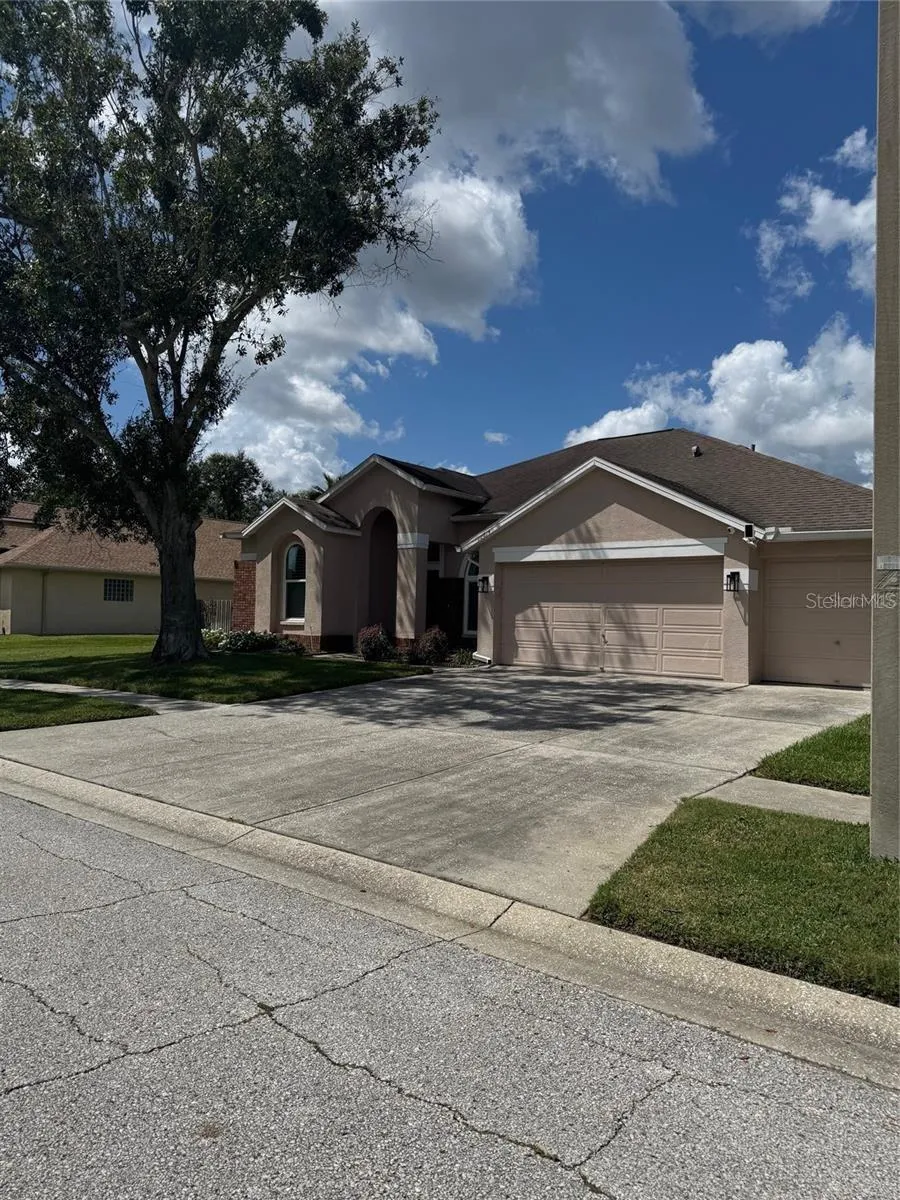 12814 BIG SUR DRIVE Tampa, FL 33625