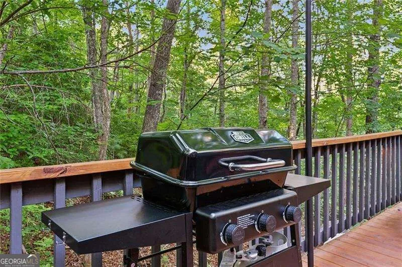 889 Granny Branch DR Blue Ridge, GA 30513