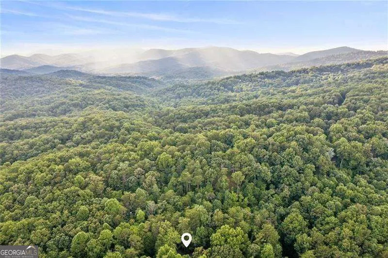 889 Granny Branch DR Blue Ridge, GA 30513