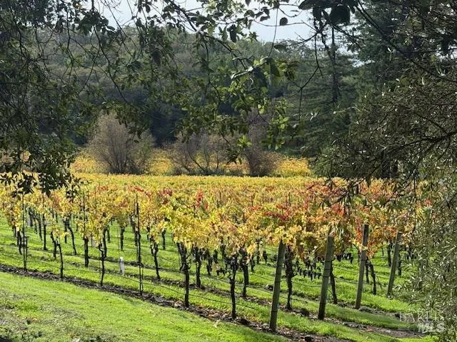 2759 Bennett Ridge Road Santa Rosa, CA 95404