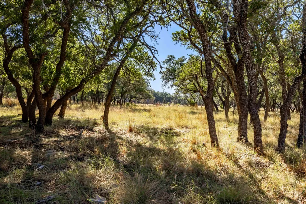 Legacy Oaks Drive Harper, TX 78631