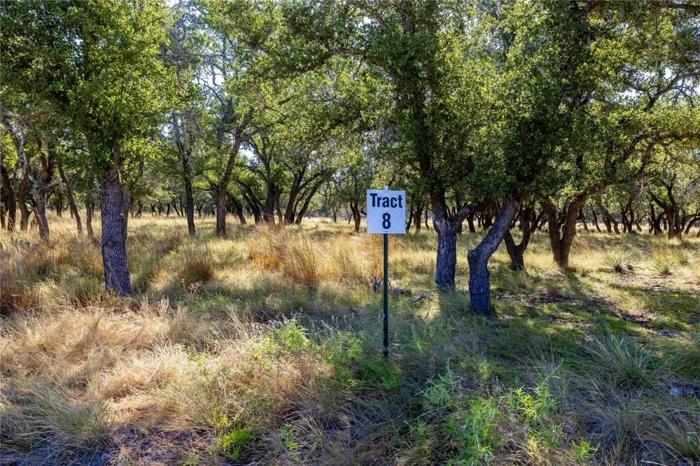 Legacy Oaks Drive Harper, TX 78631