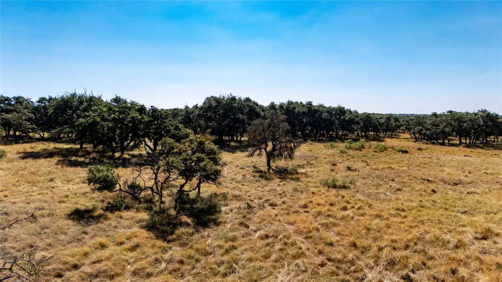 Legacy Oaks Drive Harper, TX 78631
