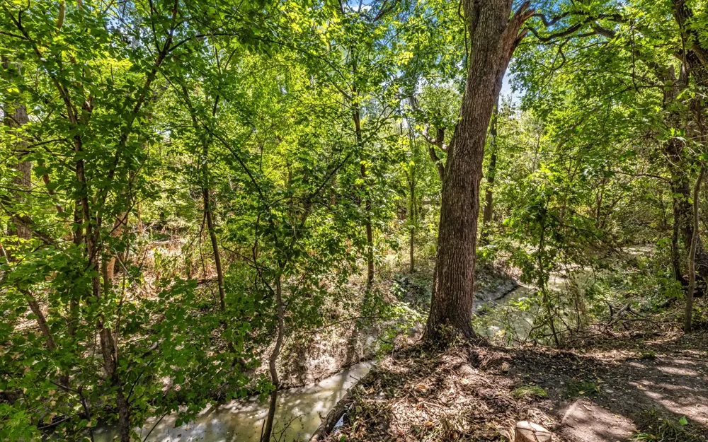 1101 Sonoma Drive McKinney, TX 75072