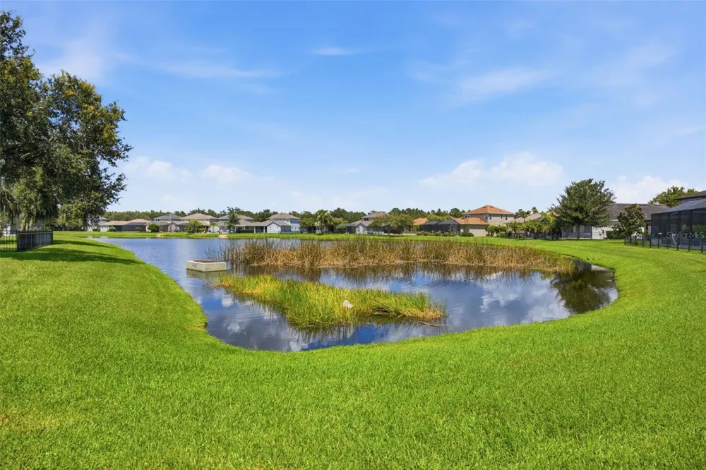8822 WESTERLAND DRIVE Land O Lakes, FL 34637
