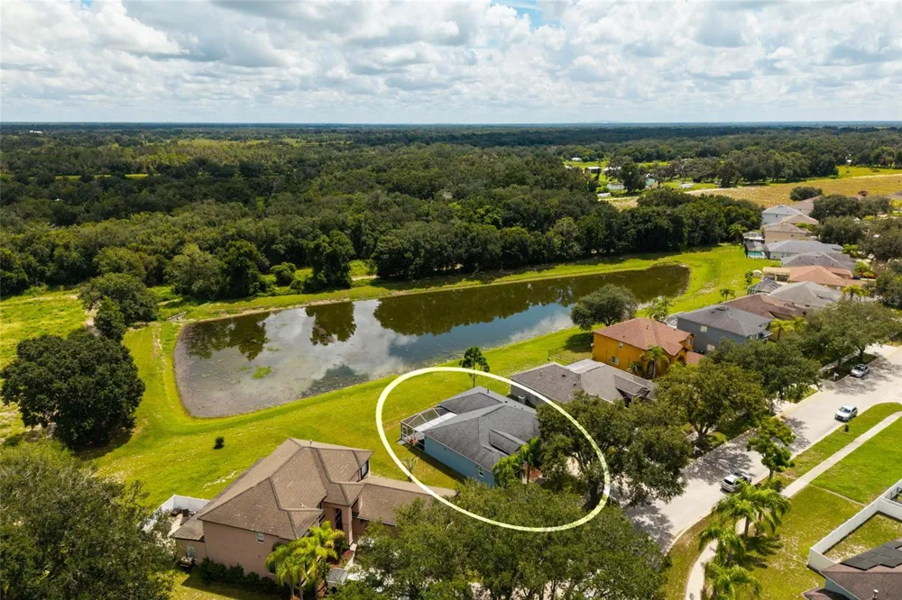 3513 PINE TOP DRIVE Valrico, FL 33594