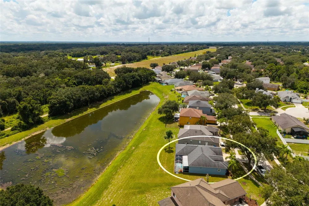3513 PINE TOP DRIVE Valrico, FL 33594