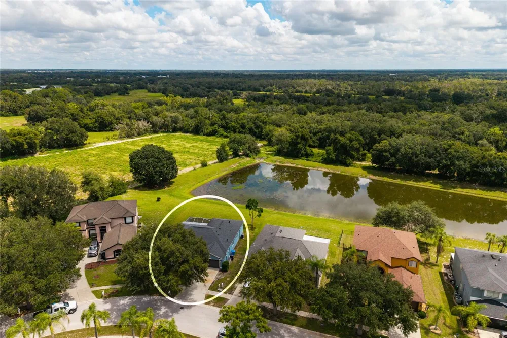 3513 PINE TOP DRIVE Valrico, FL 33594