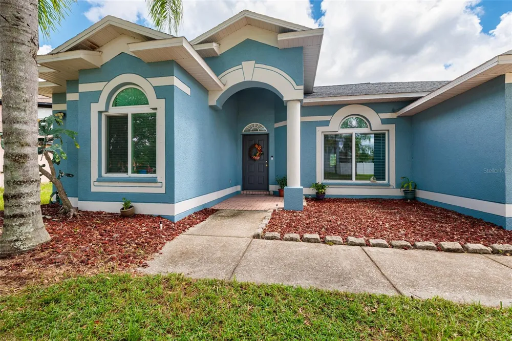 3513 PINE TOP DRIVE Valrico, FL 33594