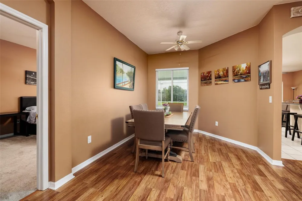 3513 PINE TOP DRIVE Valrico, FL 33594