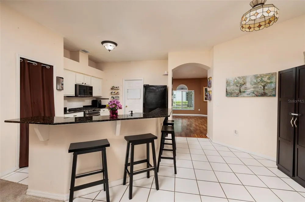 3513 PINE TOP DRIVE Valrico, FL 33594