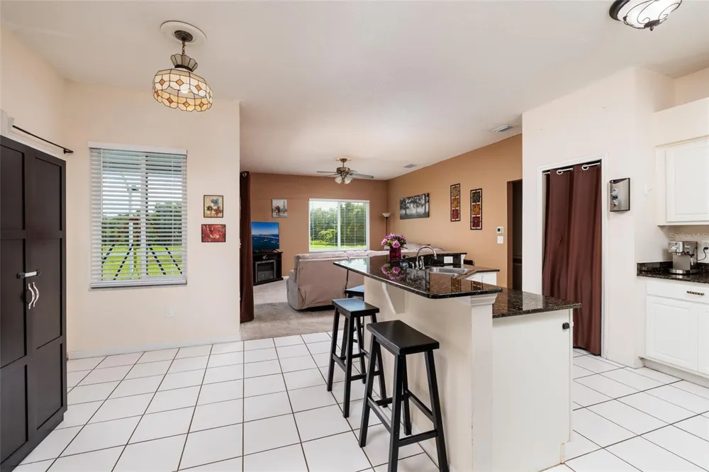 3513 PINE TOP DRIVE Valrico, FL 33594