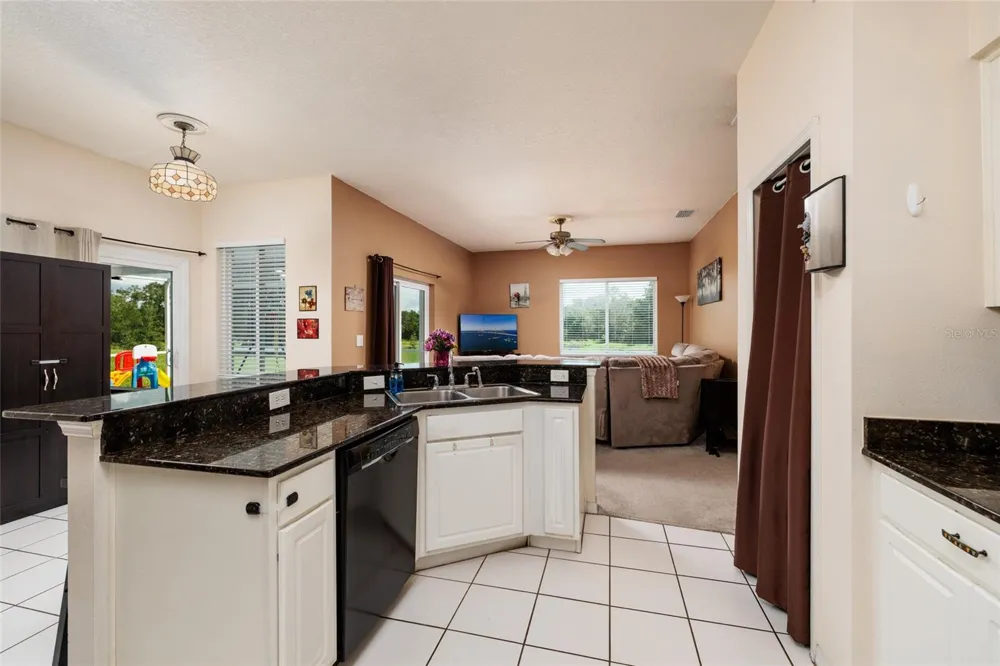 3513 PINE TOP DRIVE Valrico, FL 33594