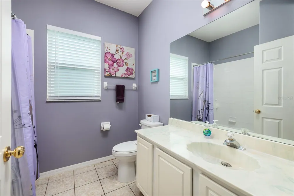 3513 PINE TOP DRIVE Valrico, FL 33594