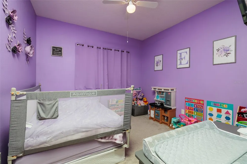 3513 PINE TOP DRIVE Valrico, FL 33594