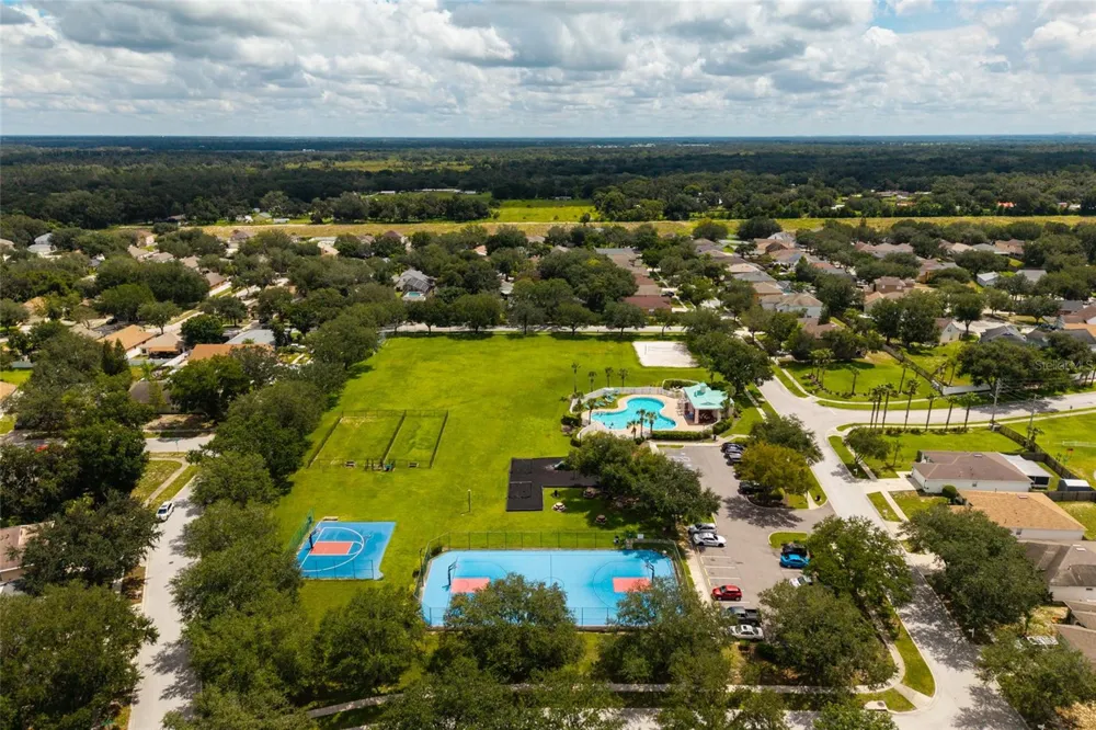 3513 PINE TOP DRIVE Valrico, FL 33594