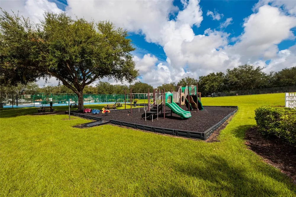 3513 PINE TOP DRIVE Valrico, FL 33594