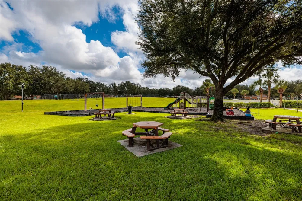 3513 PINE TOP DRIVE Valrico, FL 33594