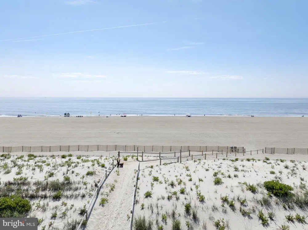 45 BUCKINGHAM AVENUE Harvey Cedars, NJ 08008