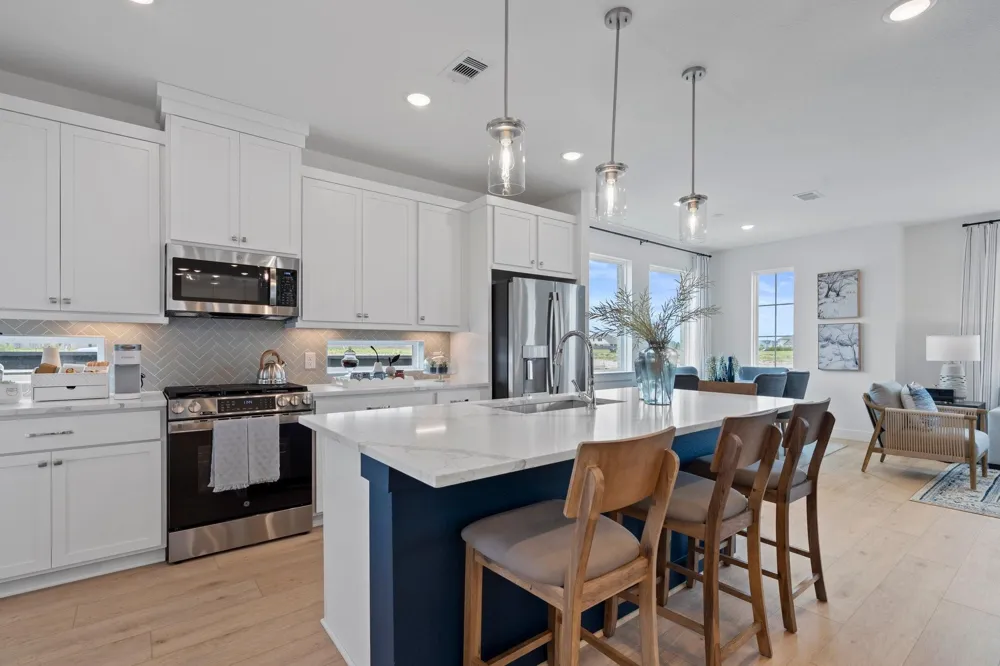 21218 Creeping Bentgrass Drive Cypress, TX 77433